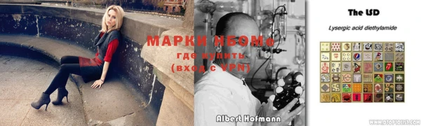 амф Алзамай