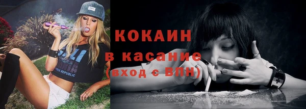 гашик Алексеевка