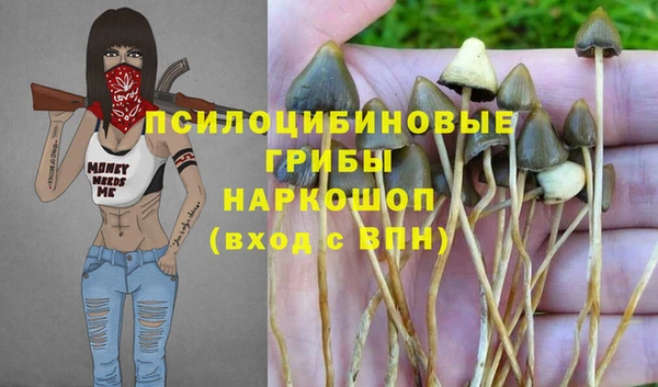 амф Алзамай
