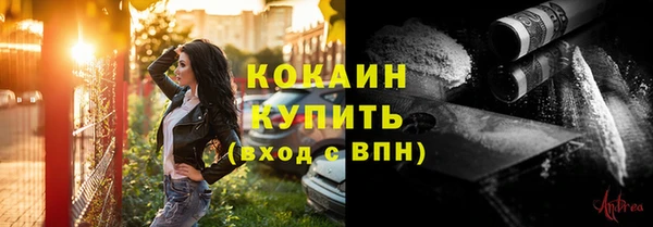 амф Алзамай