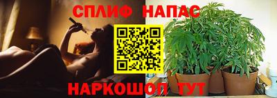 прущие крисы Уссурийск