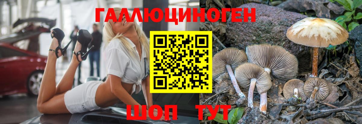 Галлюциногенные грибы MAGIC MUSHROOMS Киреевск